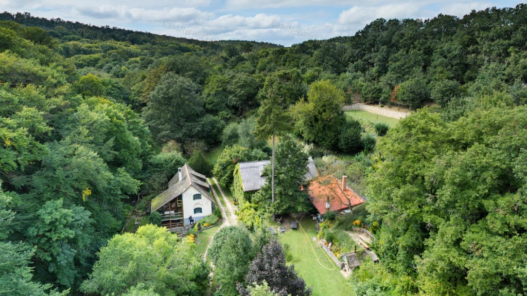 Ősfás birtok saját patakkal az erdő, a Nemzeti Park közepén