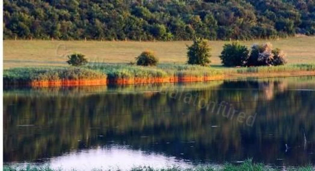 GARANTÁLTAN STRESSZMENTES HELY