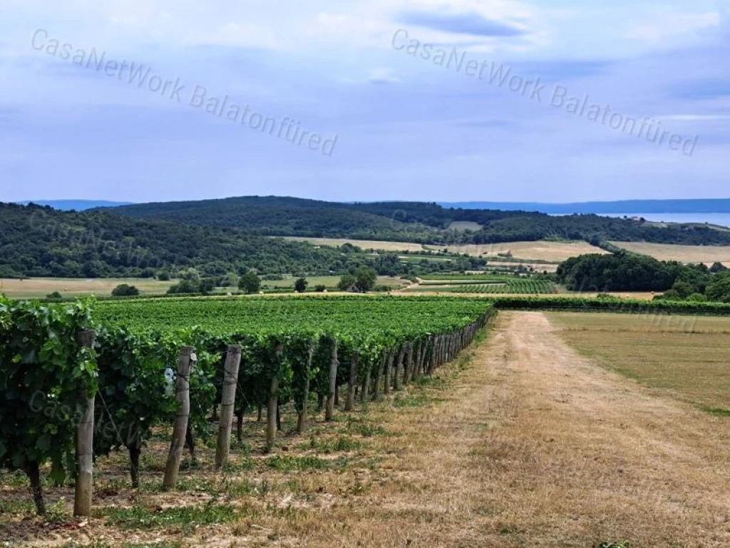 PANORÁMÁS, ÉPÍTHETŐ - ELADÓ MEZŐGAZDASÁGI TERÜLET SZENTJAKABFÁN