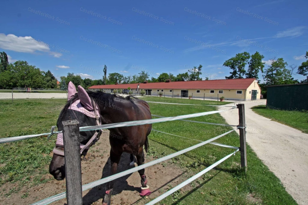 9 hektáros birtok Sopron közelében eladó