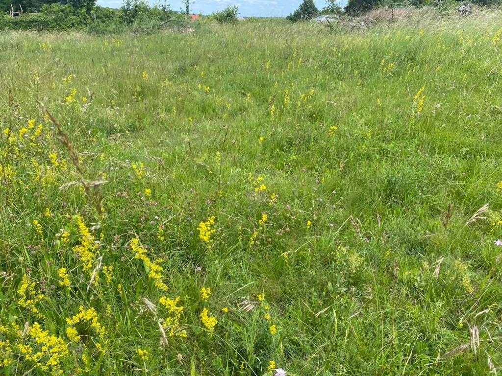 For sale building plot, Kópháza