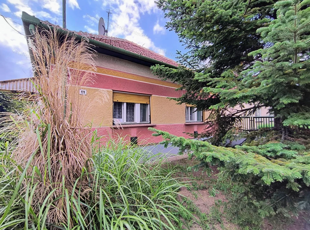 For sale house, Törökszentmiklós