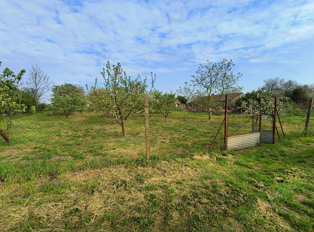 c3-1-name c2-58-name, Törökszentmiklós