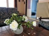 For sale house, Dány