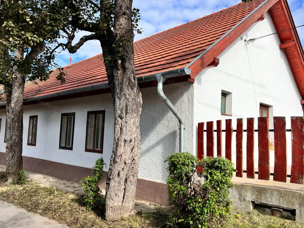 Vályogház, borospince 1 hektáron