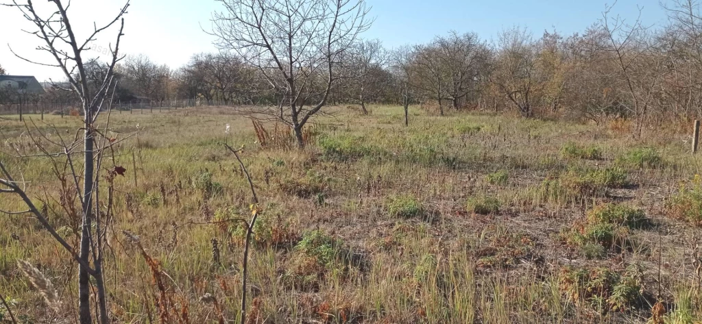 Fejlődő városrész, sokoldalú telek – ragadja meg az alkalmat!