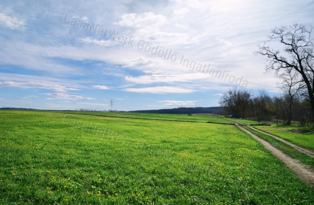 Kis telek,nagy nyugalom-kertészkedés kicsiben!