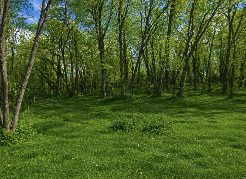 Nyugalom+Jó közlekedés-Építési telek Veresegyházon