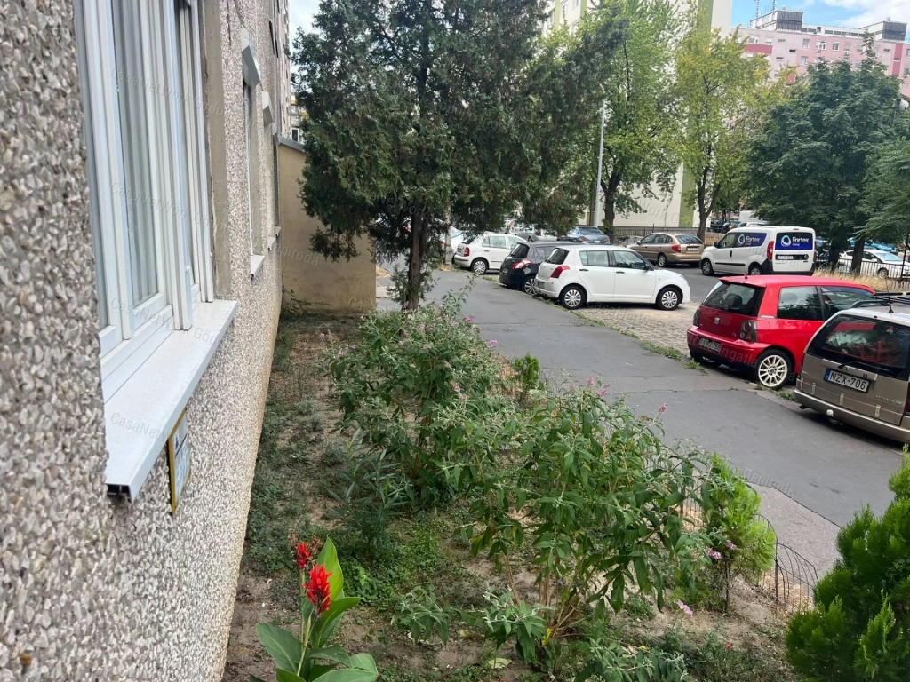 Ez a kis otthon csak egy festést igényel