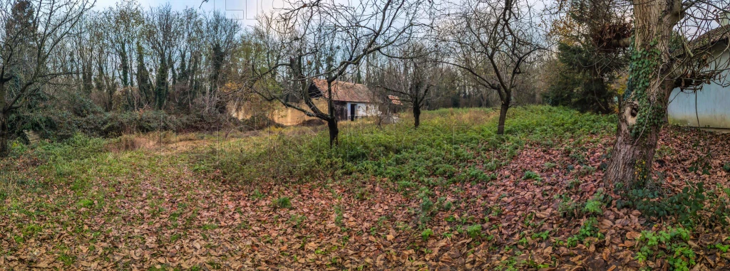 Nemesbükön eladó belterületi ingatlan!