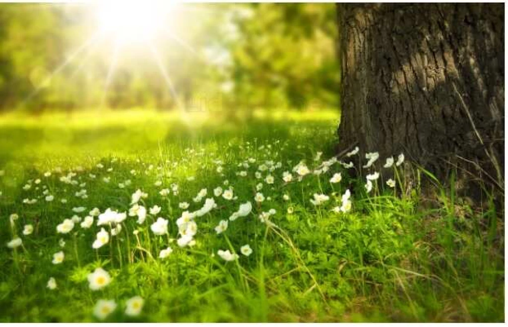 For sale building plot, Balatonkenese