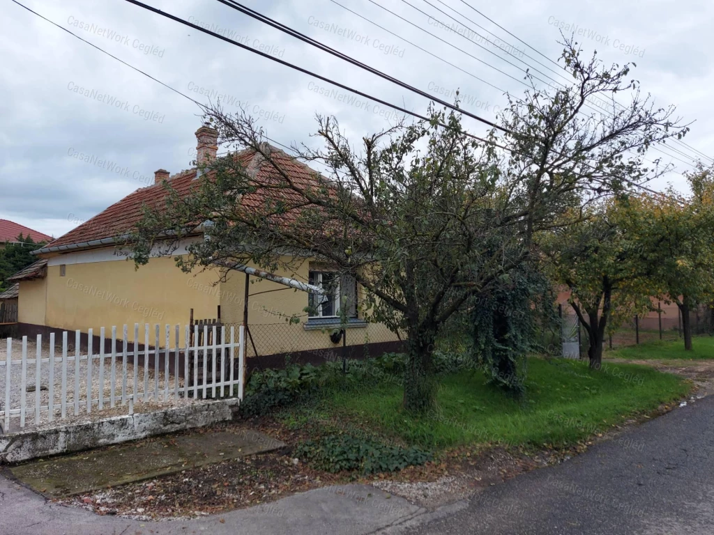 For sale house, Abony