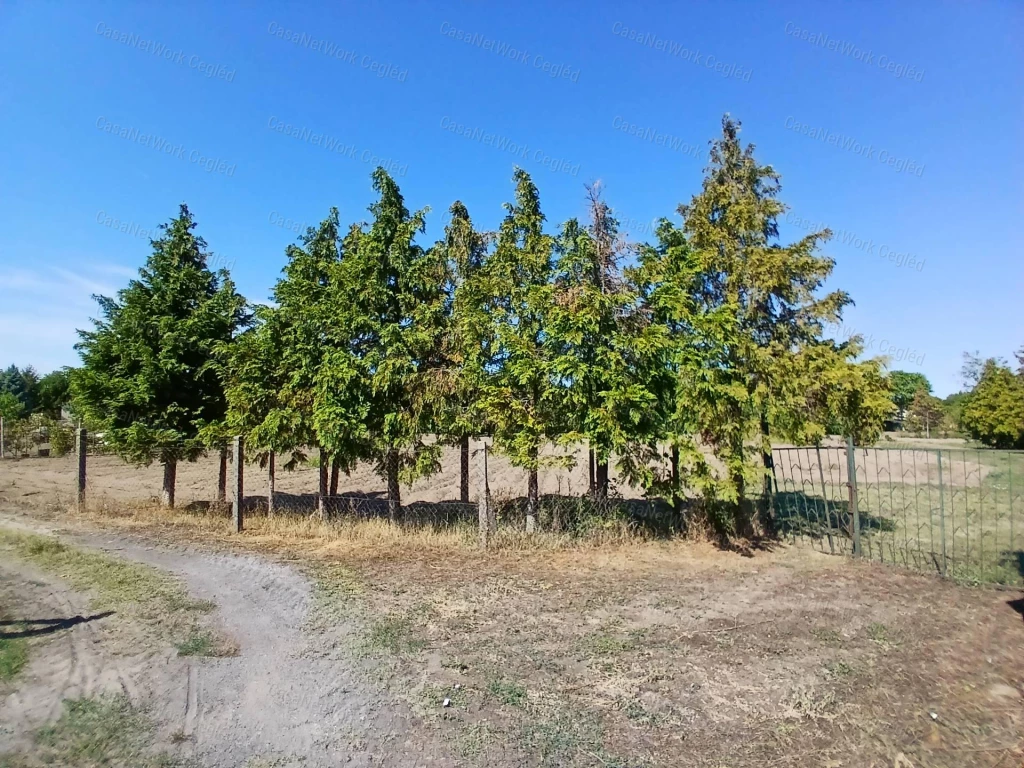 For sale closed garden, Cegléd