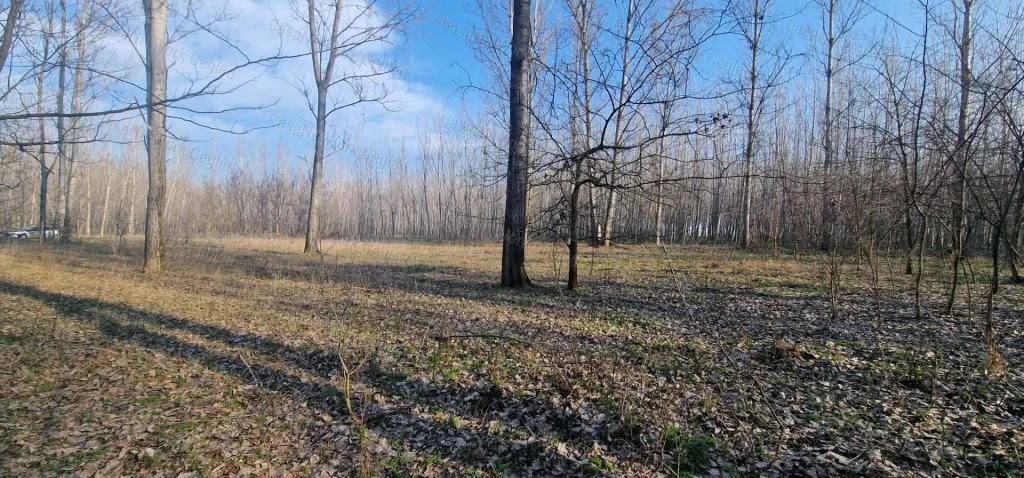 For sale plough-land, pasture, Cegléd