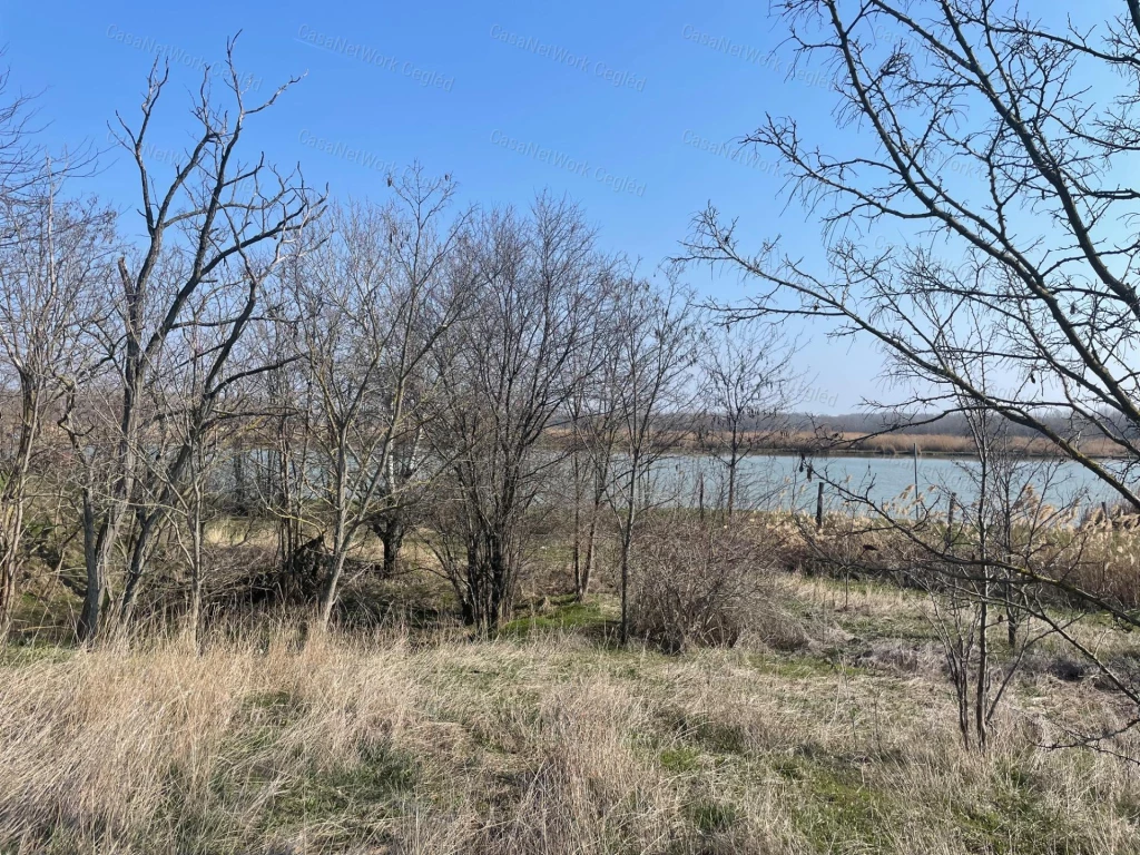 Vidéki terület több lehetőséggel!