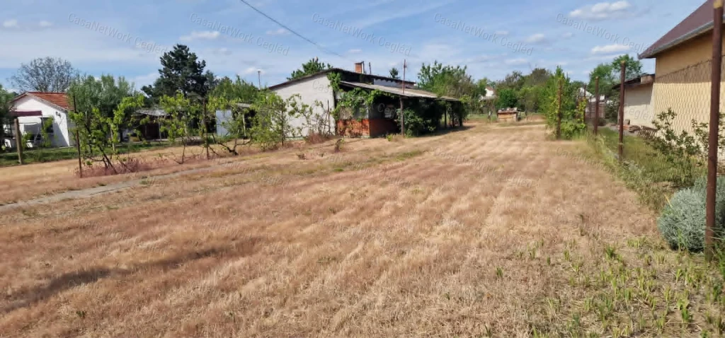 Eladó zártkerti ingatlan Cegléden – Öregszőlőben!