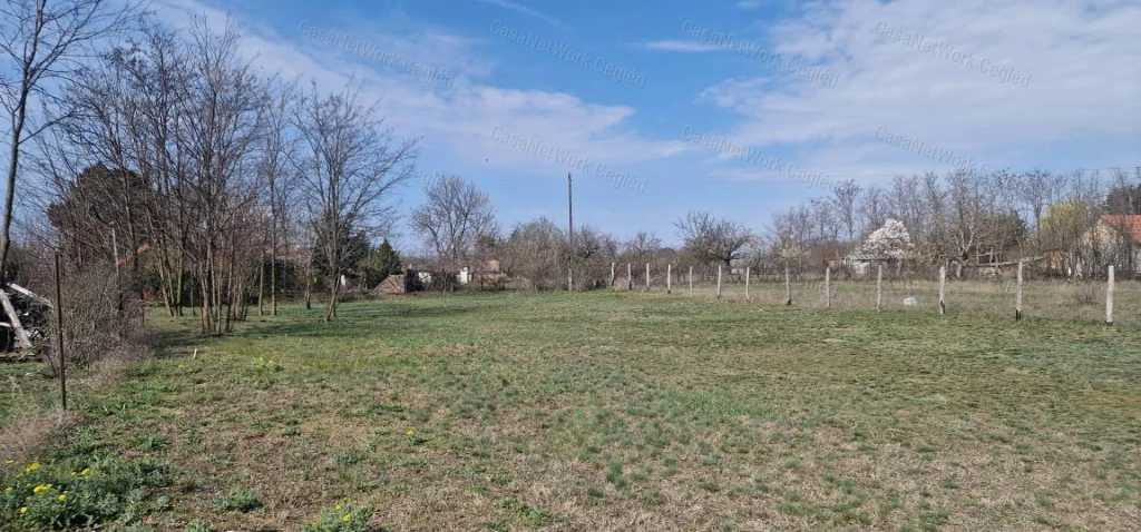 Cegléden telek eladó!