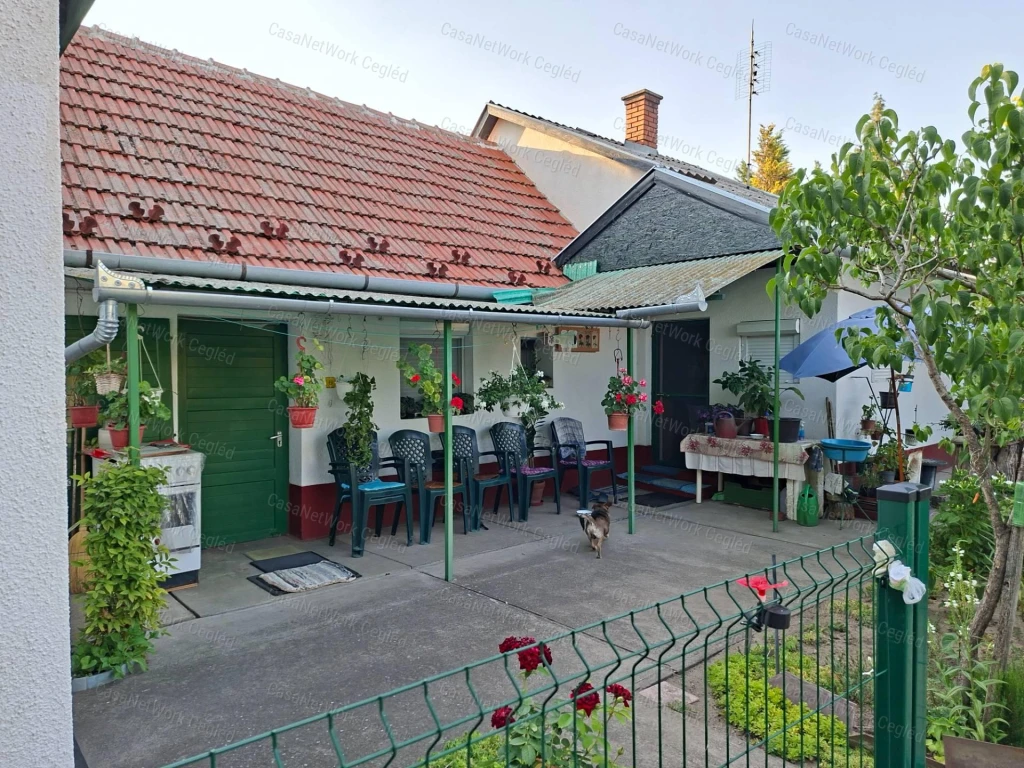 Eladó családi ház Csemő Zöldhalomban - azonnal költözhető!