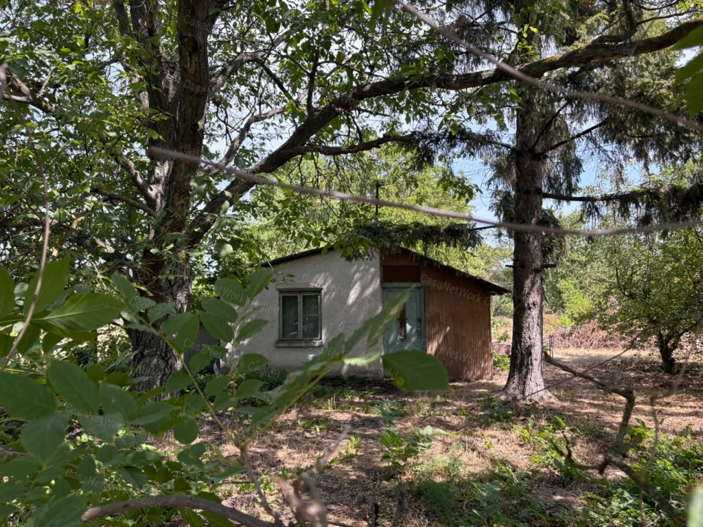 ELADÓ 1216 M²-ES TELEK CEGLÉD-ÖREGSZŐLŐBEN