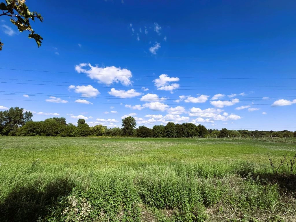 Biztos földbefektetés budapest mellett – 2 696 m² szántó, xvi. kerület