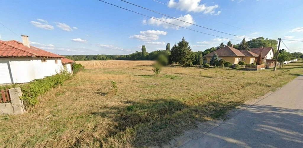 Panel helyett madárcsicsergés!