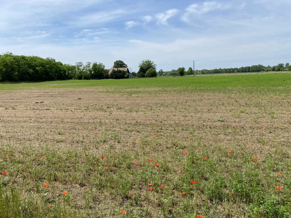 For sale plough-land, pasture, Majosháza