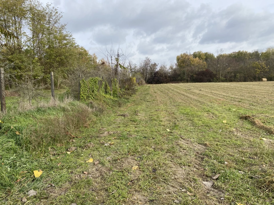 For sale building plot, Ráckeve