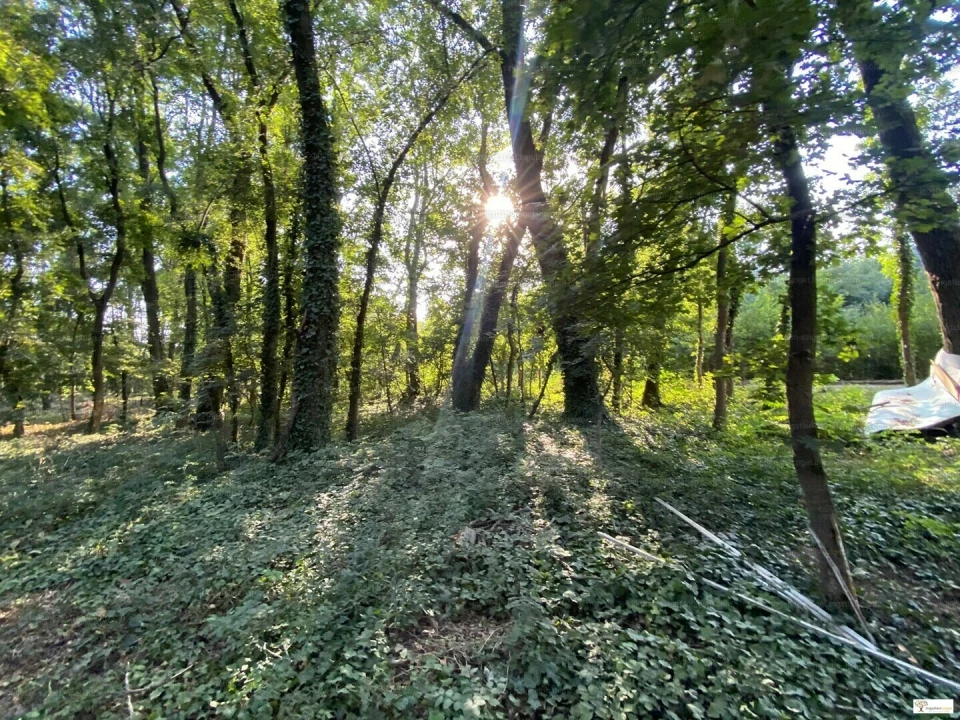 Eladó építési telek, Kiskunlacháza