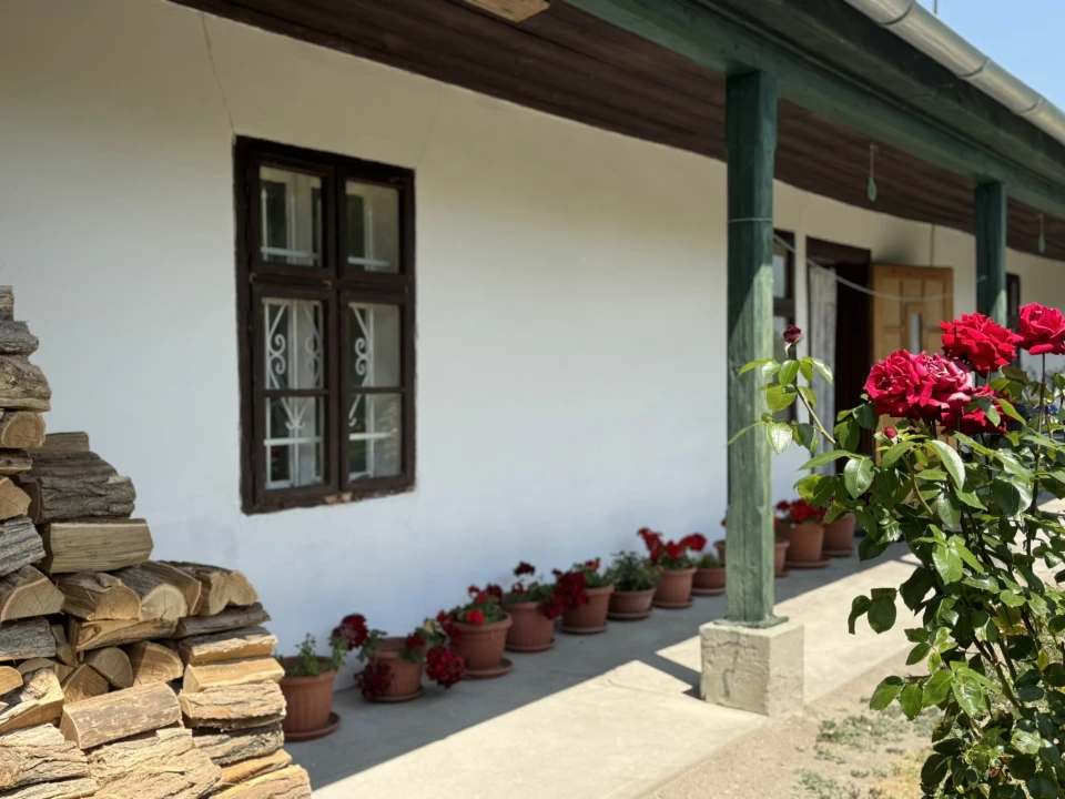 For sale house, Ráckeve