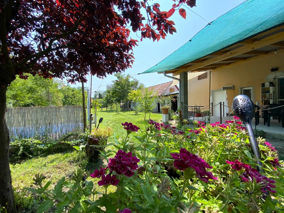 For sale house, Ráckeve, Belváros