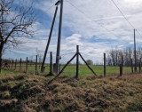 Eladó , Dabas