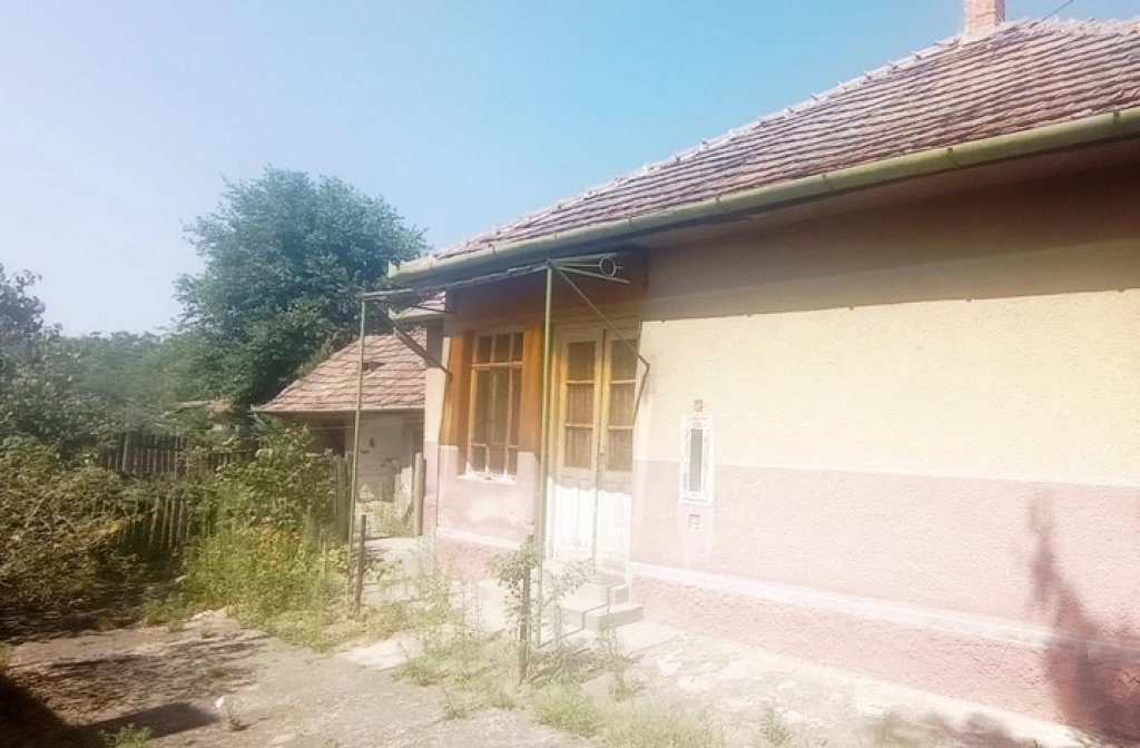 For sale house, Dabas