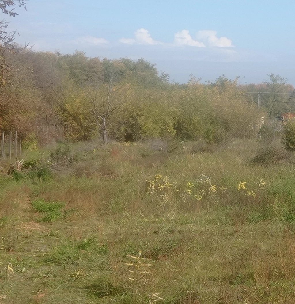 Eladó egyéb telek, Dabas