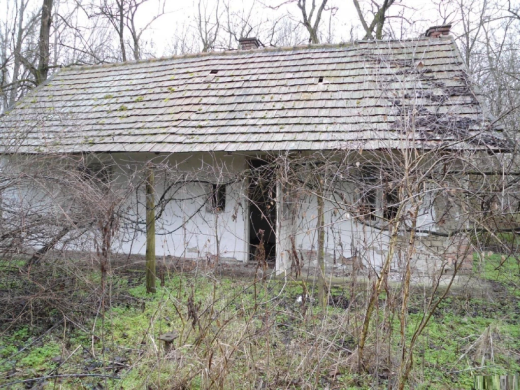 Eladó , Ráckeve