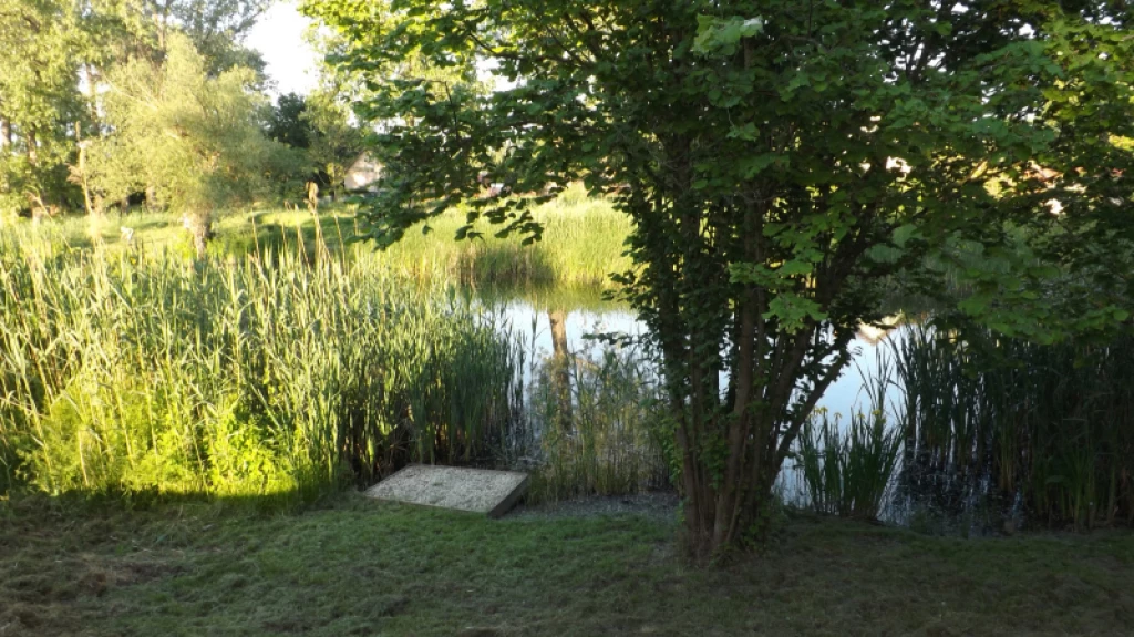 Eladó üdülő, nyaraló, Dömsöd