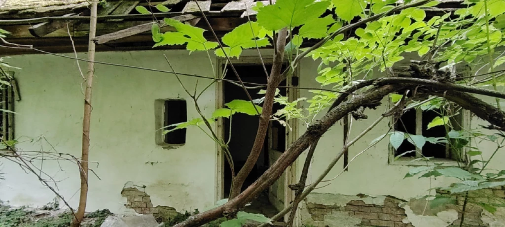 Eladó egyéb mezőgazdasági ingatlan, Ráckeve