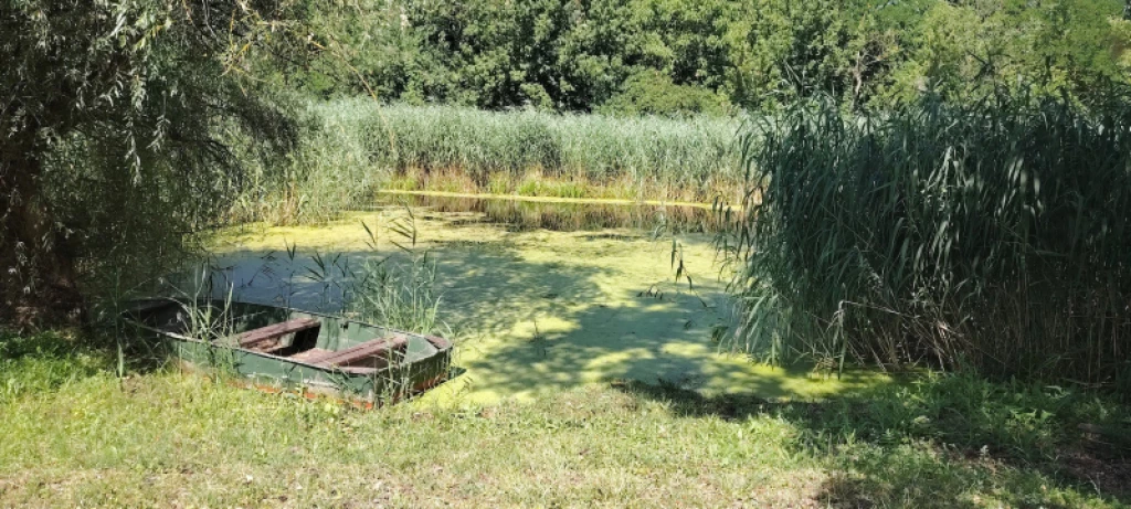 c3-1-name c2-63-name, Ráckeve