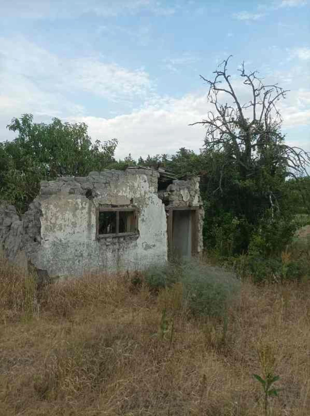 Eladó egyéb mezőgazdasági ingatlan, Csemő