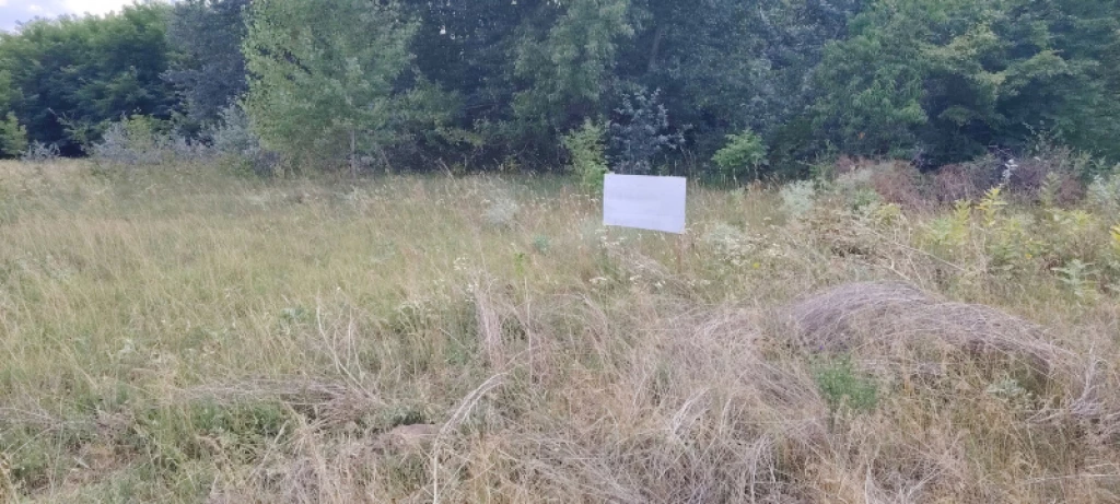 Eladó egyéb telek, Lajosmizse