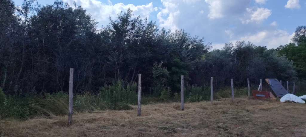 Eladó egyéb telek, Lajosmizse