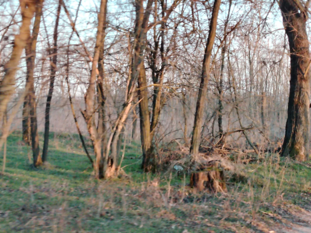 Eladó egyéb mezőgazdasági ingatlan, Hernád