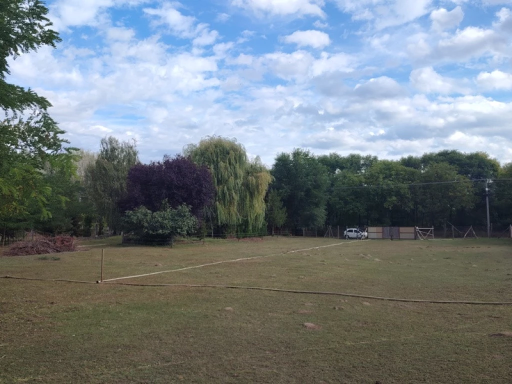 Eladó egyéb telek, Dabas