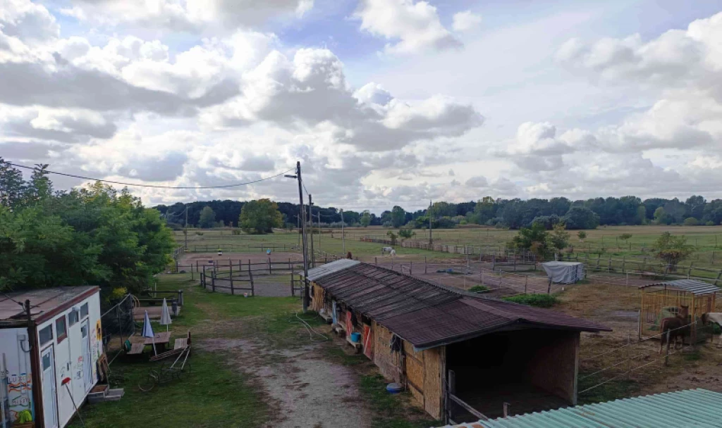 Eladó egyéb telek, Dabas