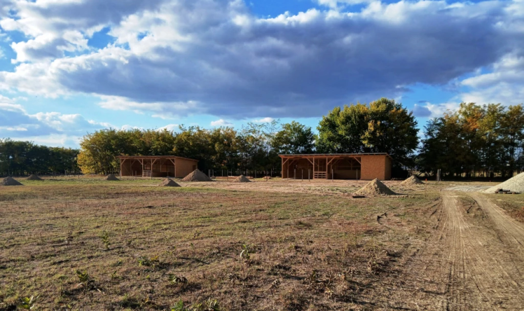 c3-1-name c2-53-name, Dabas