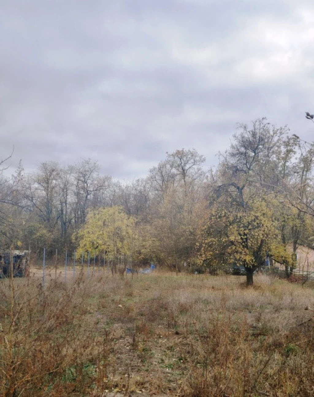 Eladó egyéb telek, Dabas