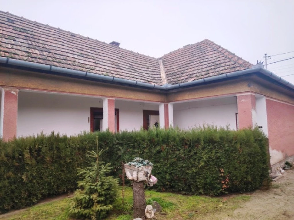 c3-1-name c2-1-name, Dabas