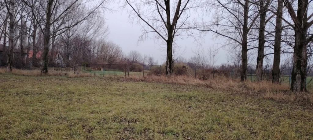 c3-1-name c2-53-name, Monor