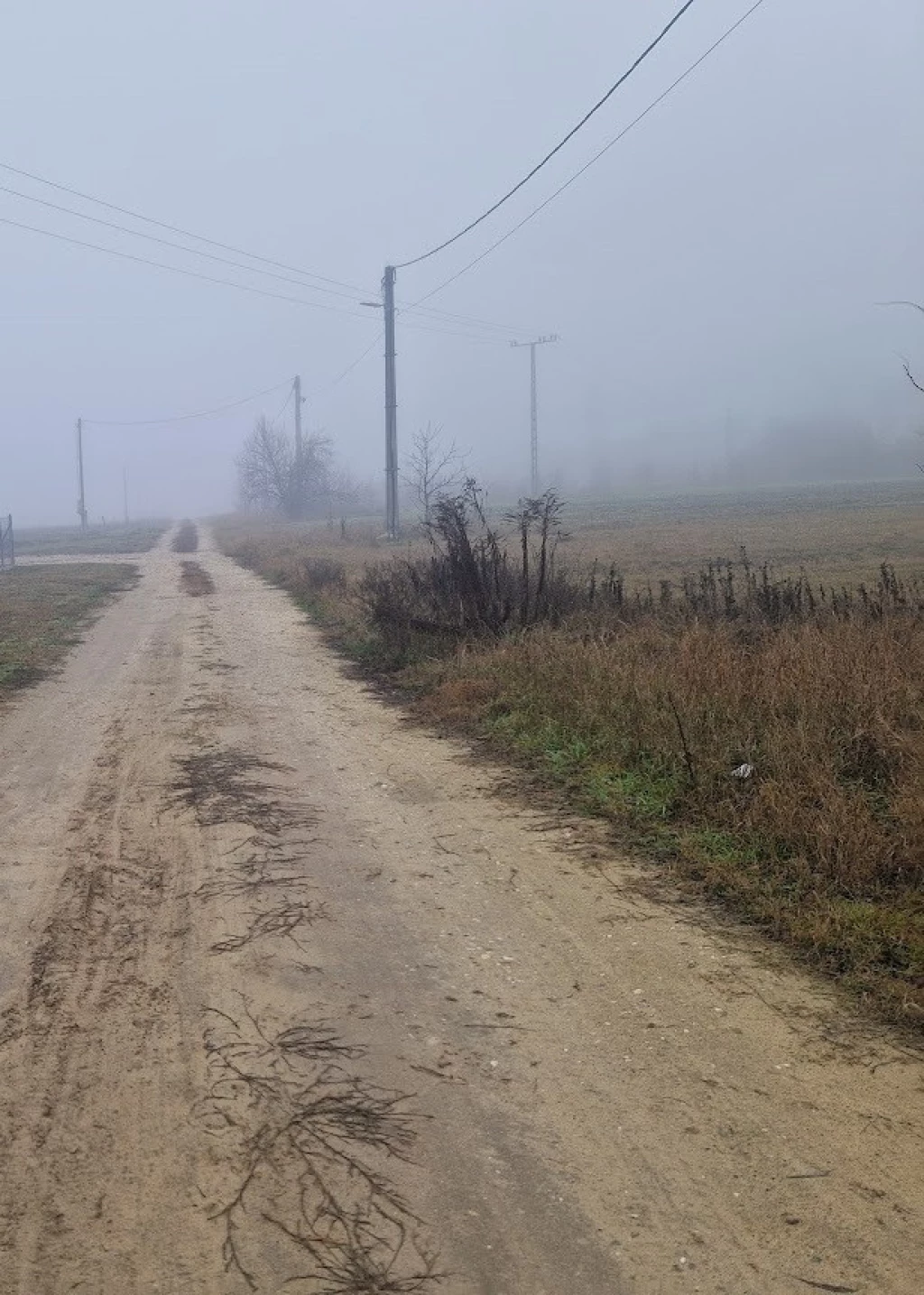 Eladó egyéb telek, Dabas