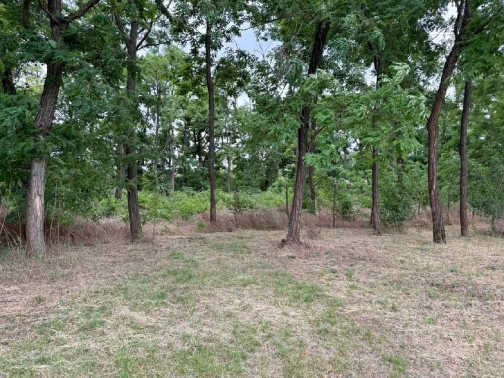 c3-1-name c2-53-name, Dabas