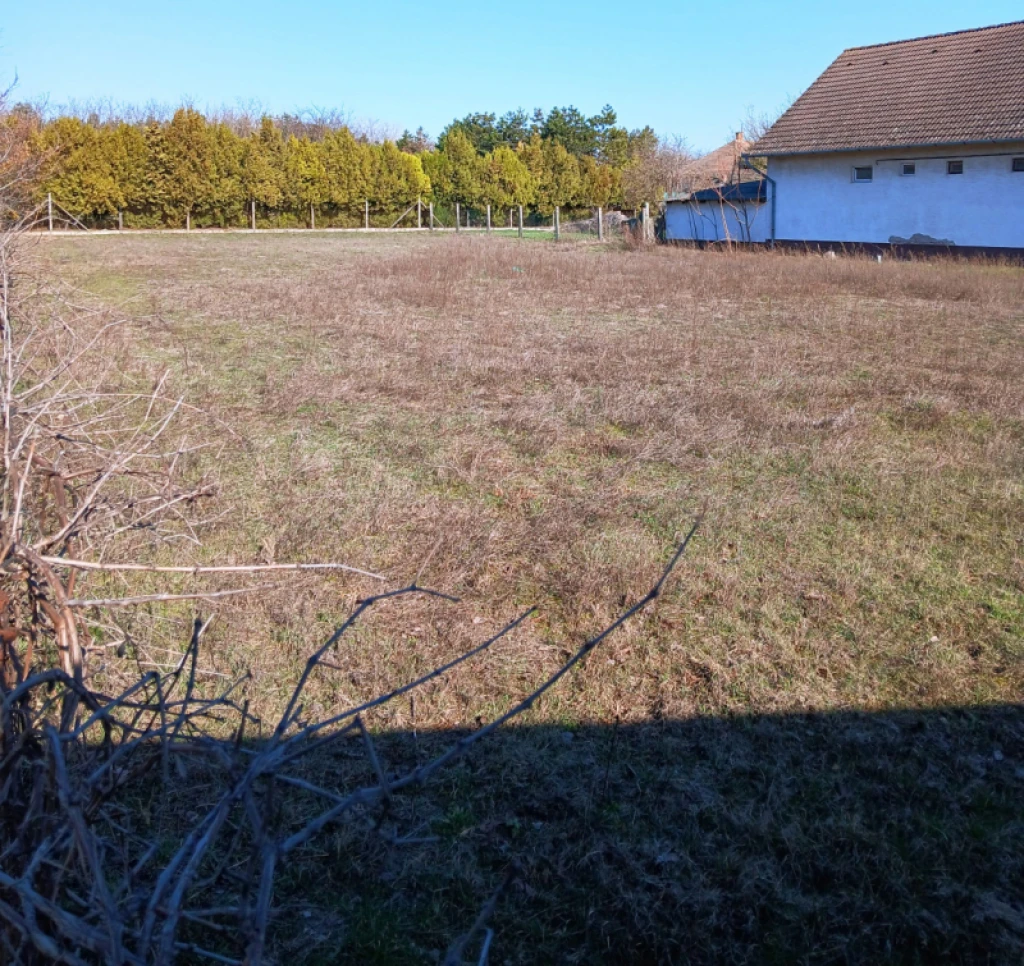 Eladó egyéb telek, Dabas